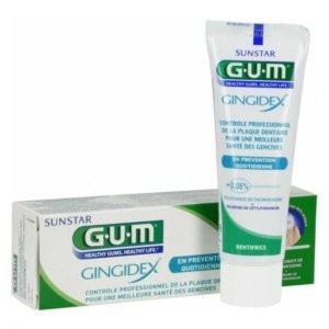 GUM DENTIFRICE GINGIDEX PREVENTION QUOTIDIENNE 75ML